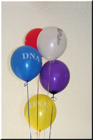 DNA Balloons