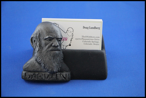 Darwin Card Holder