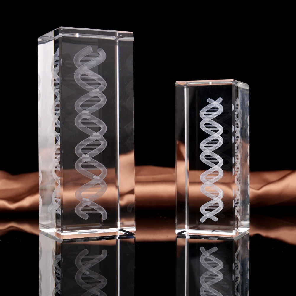 DNA Cube