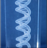 DNA