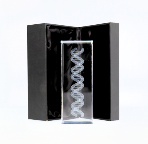 DNA Glass Cube