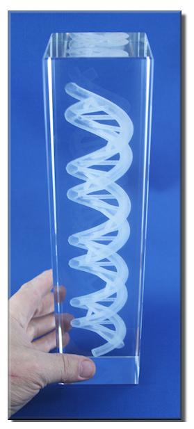 DNA Cube