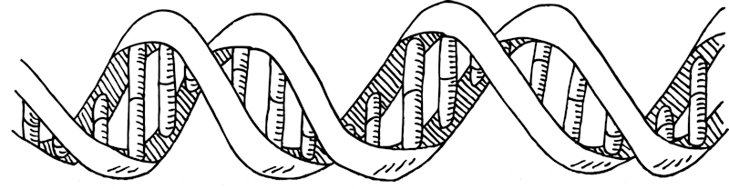 DNA