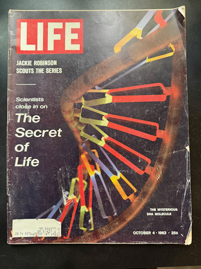 DLife Magazine 1963 October 4