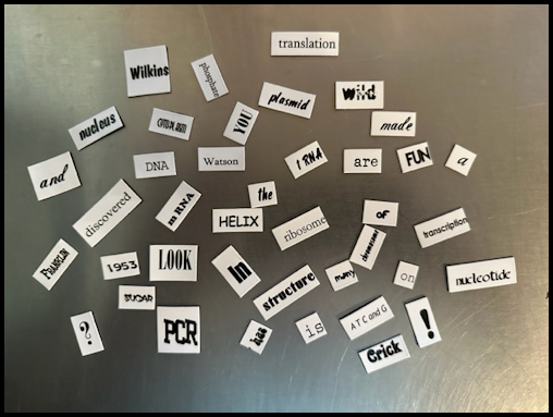 Magnet Words