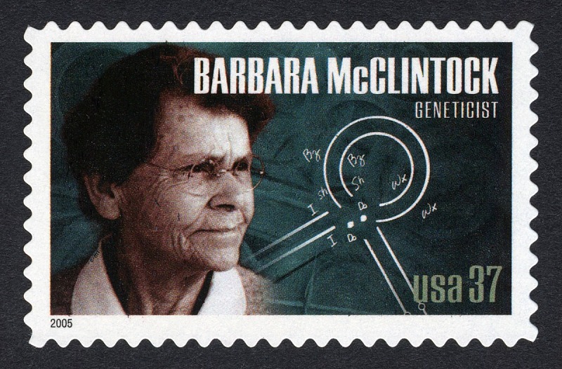 Single McClintock Stamp