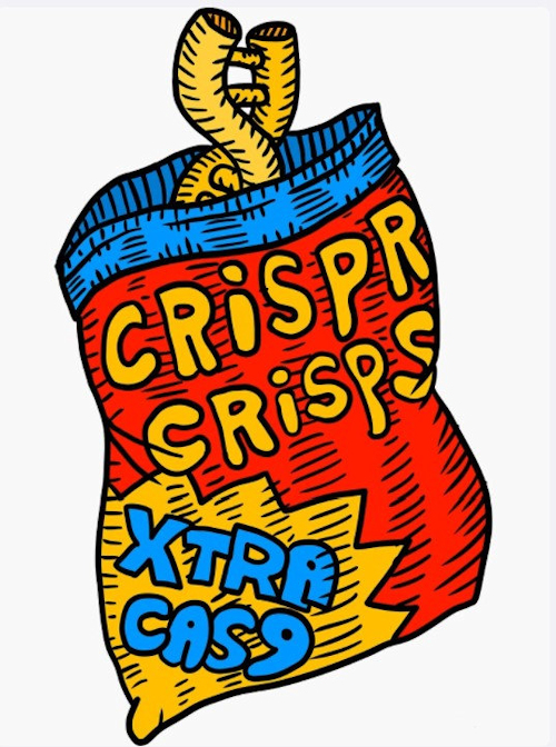 Crispr Crisp Sricker