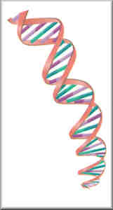 DNA Tattoos