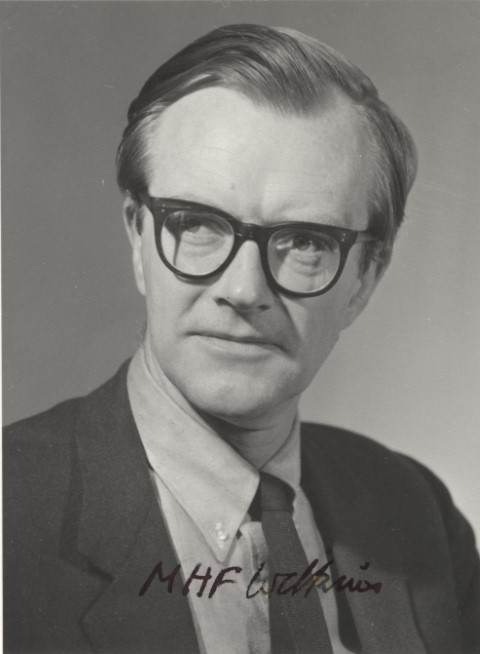 Maurice Wilkins Letter