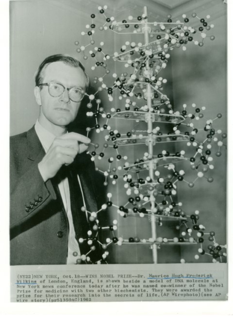 Maurice Wilkins Photo