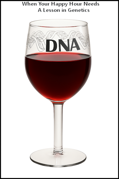 DNA Wine Glass