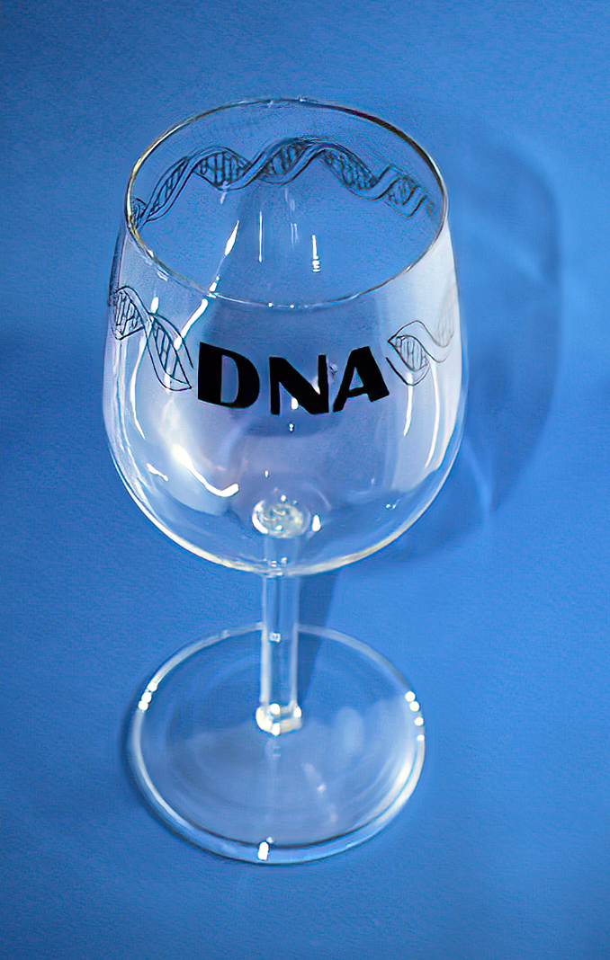 DNA Wine Glass