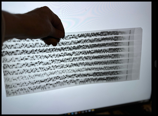 sequencing autoradiographs