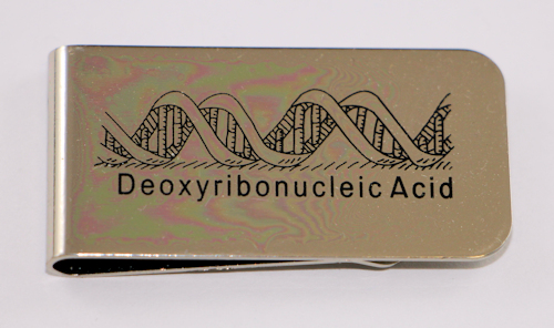 DNA Money Clip